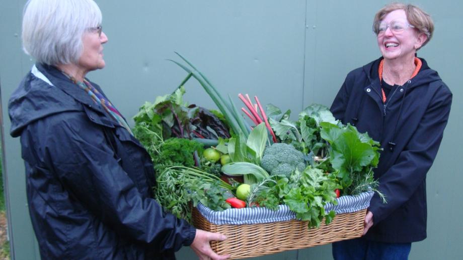 Community garden produce