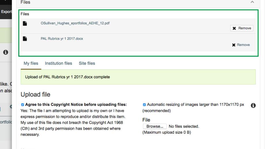 files will be displayed