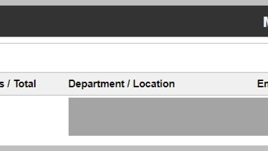 My team page showing options relating to your team in Manager Self Service