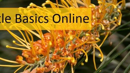 A yellow flower with the text 