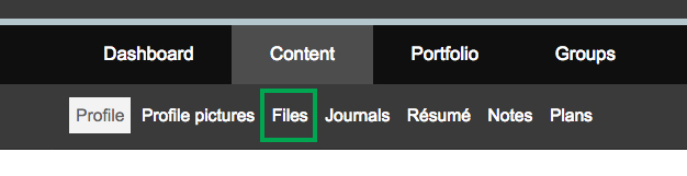 Content > Files